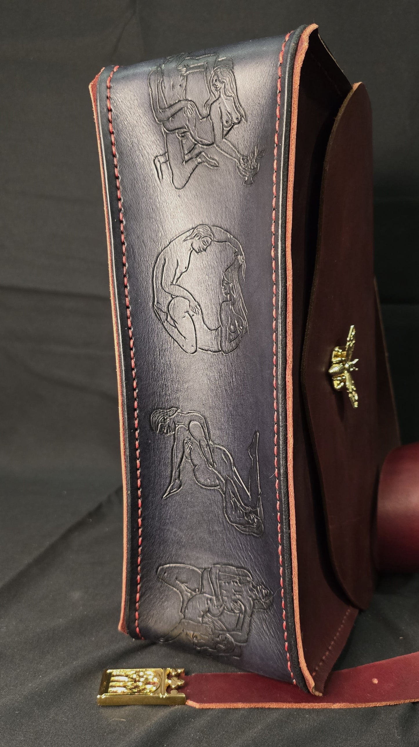 Courtesan of the Court leather side bag - 24k gold plate buckle